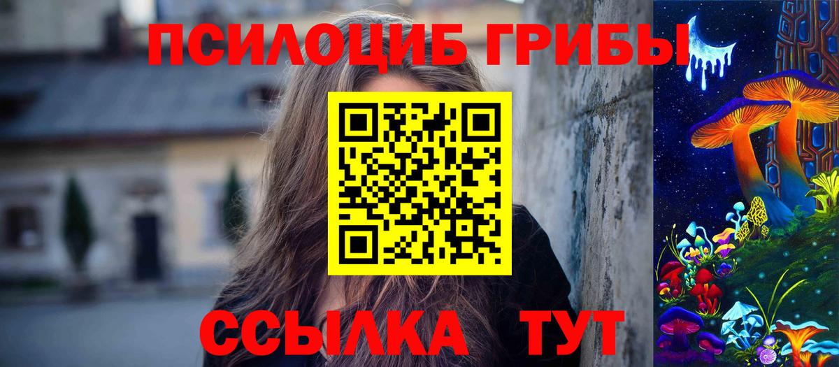 Великий Новгород  Псилоцибиновые грибы MAGIC MUSHROOMS  Вход с VPN 